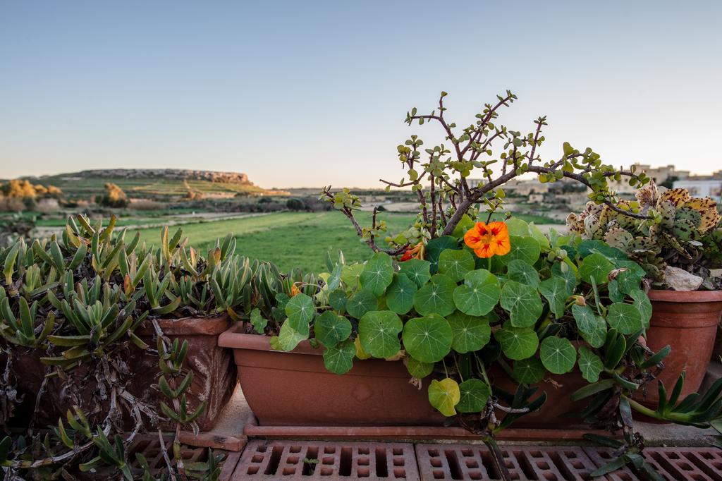 Villayana Holiday Home San Lawrenz Szoba fotó